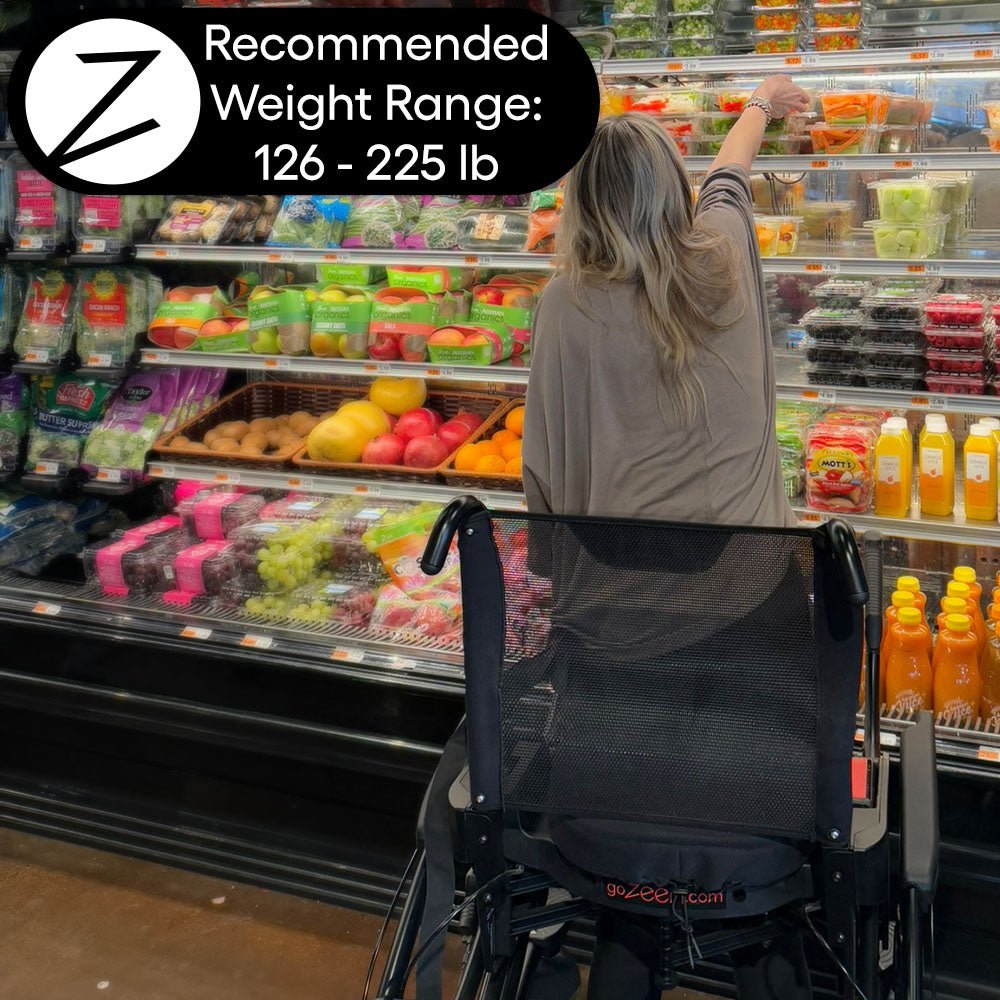 Zeen Go Classic Zeen Mobility Device Z2SFM0
